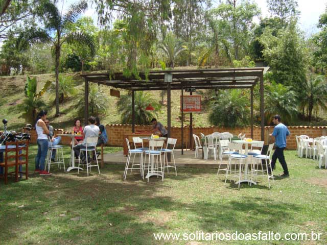Oliveira 009